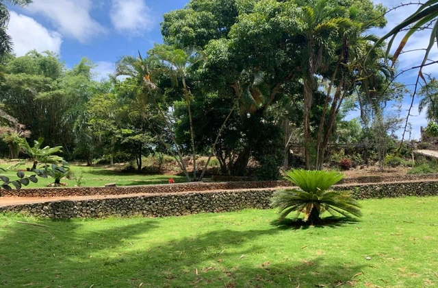 El Castillo Tropical Cabrera Jardin